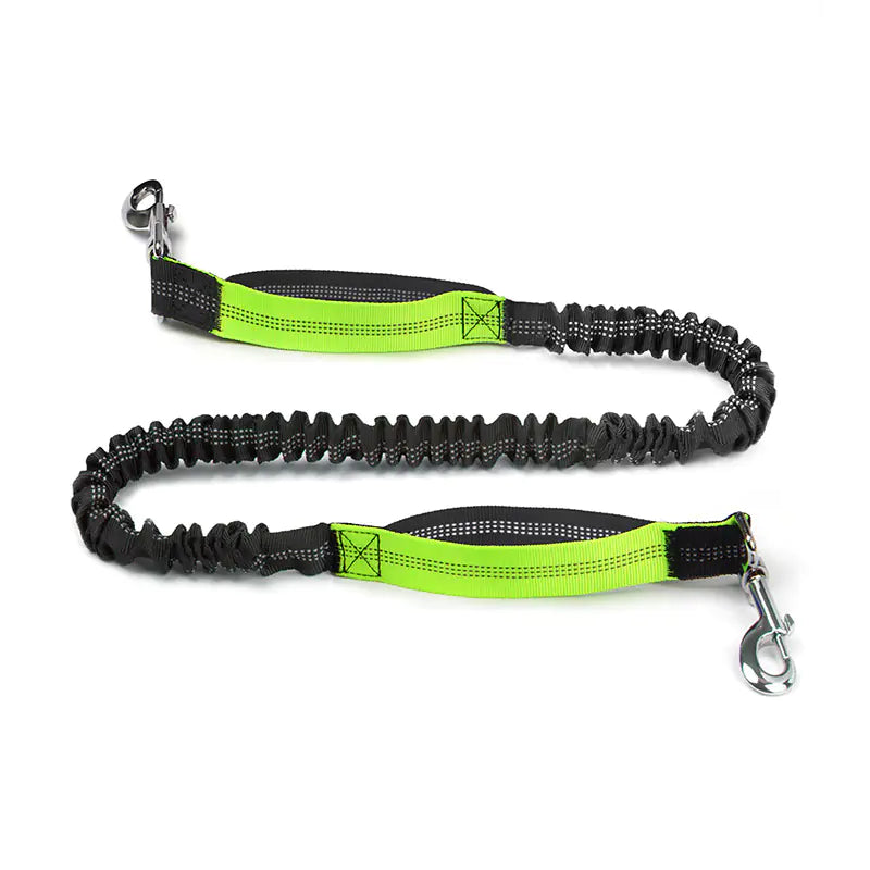 Riñonera para mascotas con correa para correr transfronteriza