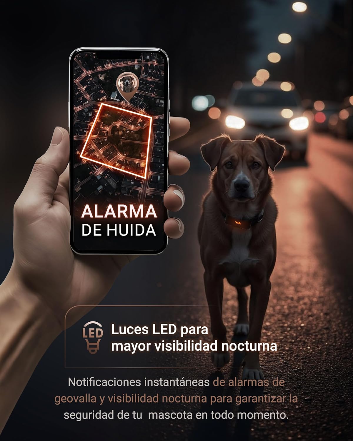 PAJ Localizador GPS para Perros 4G - alarmas de Fuga + Seguimiento en Vivo - hasta 10 días en Modo Ahorro de batería - LED Luminoso - Resistente al Agua (IP67) - Apto para Cualquier Collar - Negro