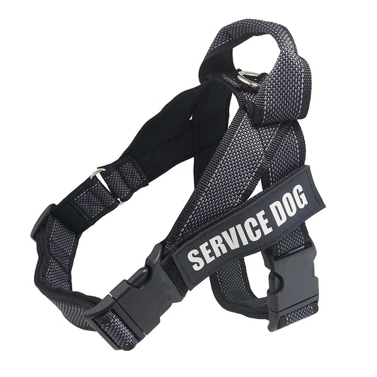 Arnes de perro SERVICE DOG alta calidad