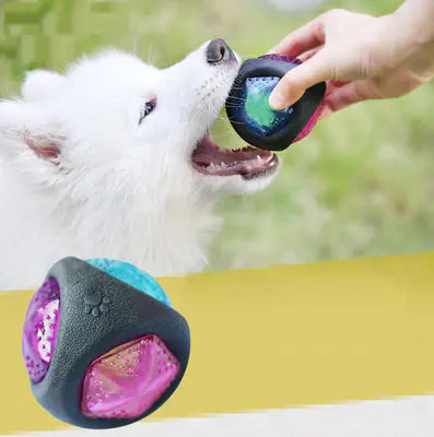 Pelota de juguete luminosa y chirriante para perros, ideal para masticar y entrenar