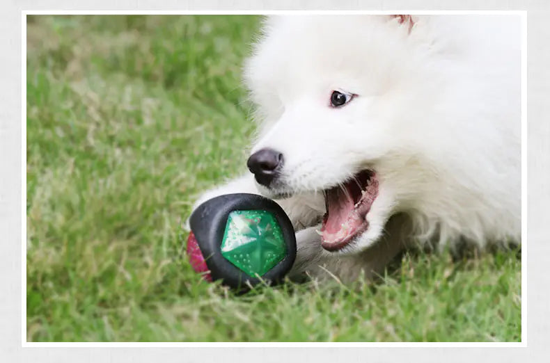 Pelota de juguete luminosa y chirriante para perros, ideal para masticar y entrenar