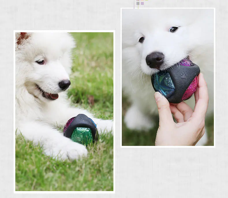 Pelota de juguete luminosa y chirriante para perros, ideal para masticar y entrenar