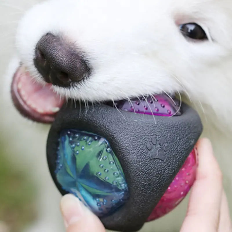 Pelota de juguete luminosa y chirriante para perros, ideal para masticar y entrenar