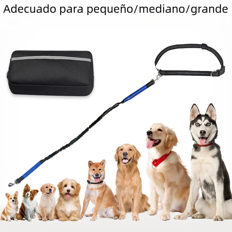 Riñonera para mascotas con correa para correr transfronteriza